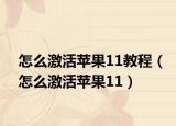 怎么激活苹果11教程（怎么激活苹果11）