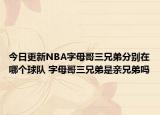 今日更新NBA字母哥三兄弟分别在哪个球队 字母哥三兄弟是亲兄弟吗