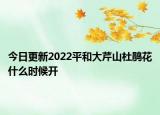 今日更新2022平和大芹山杜鹃花什么时候开