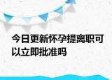今日更新怀孕提离职可以立即批准吗
