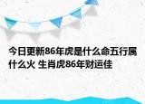 今日更新86年虎是什么命五行属什么火 生肖虎86年财运佳