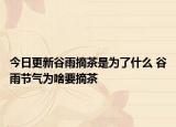 今日更新谷雨摘茶是为了什么 谷雨节气为啥要摘茶