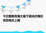 今日更新青海大幅下调光伏竞价项目电价上限