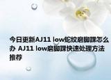 今日更新AJ11 low蛇纹磨脚踝怎么办 AJ11 low磨脚踝快速处理方法推荐