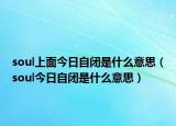 soul上面今日自闭是什么意思（soul今日自闭是什么意思）
