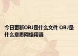 今日更新OBJ是什么文件 OBJ是什么意思网络用语