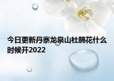 今日更新丹寨龙泉山杜鹃花什么时候开2022