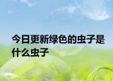 今日更新绿色的虫子是什么虫子
