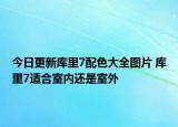 今日更新库里7配色大全图片 库里7适合室内还是室外