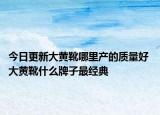 今日更新大黄靴哪里产的质量好 大黄靴什么牌子最经典