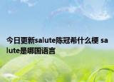 今日更新salute陈冠希什么梗 salute是哪国语言
