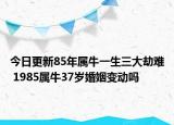 今日更新85年属牛一生三大劫难 1985属牛37岁婚姻变动吗