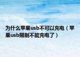 为什么苹果usb不可以充电（苹果usb限制不能充电了）
