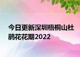今日更新深圳梧桐山杜鹃花花期2022