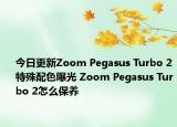 今日更新Zoom Pegasus Turbo 2特殊配色曝光 Zoom Pegasus Turbo 2怎么保养
