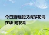 今日更新武汉绣球花海在哪 附花期