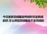 今日更新羽绒服是鸭绒好还是鹅绒的好,怎么辨别羽绒服是不是羽绒的