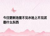 今日更新池里不见水地上不见泥是什么东西