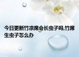 今日更新竹凉席会长虫子吗,竹席生虫子怎么办