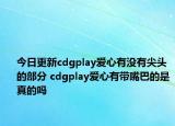 今日更新cdgplay爱心有没有尖头的部分 cdgplay爱心有带嘴巴的是真的吗