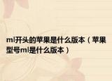 ml开头的苹果是什么版本（苹果型号ml是什么版本）