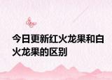今日更新红火龙果和白火龙果的区别