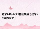 红米k40ufs3.1的优缺点（红米k40ufs多少）