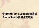 今日更新Puma Suede如何鉴别 Puma Suede真假鉴定方法