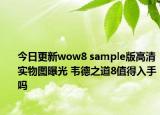 今日更新wow8 sample版高清实物图曝光 韦德之道8值得入手吗