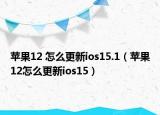 苹果12 怎么更新ios15.1（苹果12怎么更新ios15）