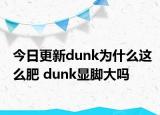 今日更新dunk为什么这么肥 dunk显脚大吗