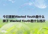 今日更新Wasted Youth是什么牌子 Wasted Youth是什么档次