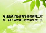 今日更新半是蜜糖半是伤袁帅江君在一起了吗袁帅江君的结局是什么