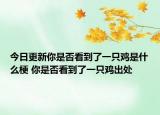 今日更新你是否看到了一只鸡是什么梗 你是否看到了一只鸡出处