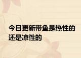 今日更新带鱼是热性的还是凉性的