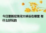 今日更新尼珠河大峡谷在哪里 有什么好玩的