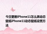 今日更新iPhone11怎么弄动态壁纸iPhone11动态壁纸设置方法