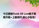 今日更新Dunk SB Low蝎子莱莱开箱+上脚测评,超心水配色!