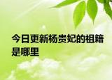 今日更新杨贵妃的祖籍是哪里