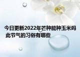 今日更新2022年芒种能种玉米吗 此节气的习俗有哪些