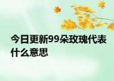 今日更新99朵玫瑰代表什么意思