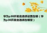 华为p30开发者选项设置在哪（华为p30开发者选项在哪里）