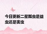 今日更新二星瓢虫是益虫还是害虫