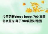 今日更新Yeezy boost 700 真假怎么鉴定 椰子700真假对比图
