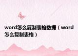 word怎么复制表格数据（word怎么复制表格）