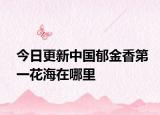 今日更新中国郁金香第一花海在哪里