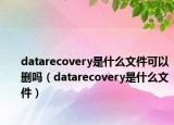 datarecovery是什么文件可以删吗（datarecovery是什么文件）