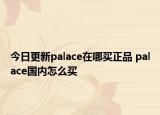 今日更新palace在哪买正品 palace国内怎么买