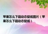 苹果怎么下载动态壁纸图片（苹果怎么下载动态壁纸）