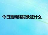今日更新骆驼象征什么